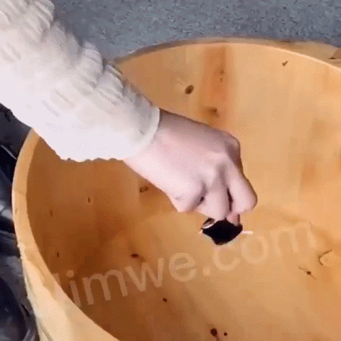 Capsule detox+slabire