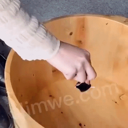 Capsule detox+slabire