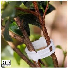 Clipsuri Plante