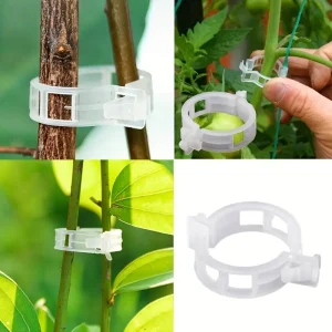 Clipsuri Plante