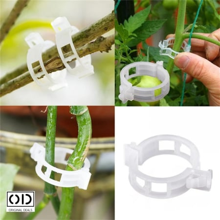 Clipsuri Plante