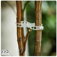 Clipsuri Plante
