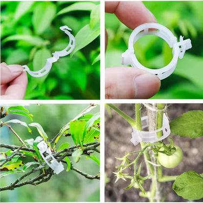 Clipsuri Plante